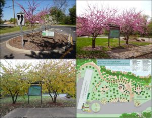 Spring to Fall, something is always in bloom at the CEC at Adams Academy